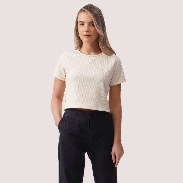 Slim Fit Cropped Ribbed T-Shirt